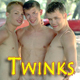 Twinks